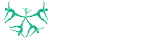 Fisioterapeuta emocional Logo